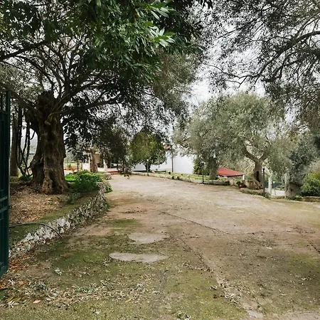 Con Piscina A Due Passi Da Siracusa Villa *